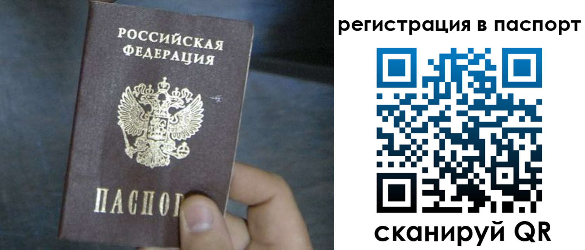 прописка 2025 в Знаменске